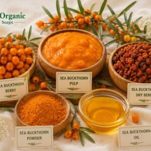 Sea Buckthorn
